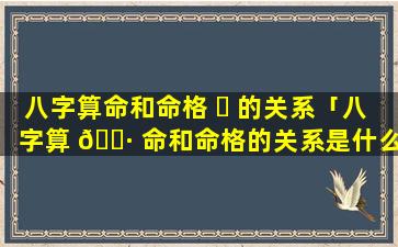 八字算命和命格 ☘ 的关系「八字算 🌷 命和命格的关系是什么」